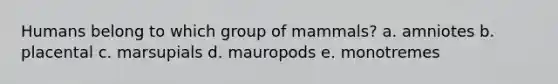 Humans belong to which group of mammals?​ a. ​amniotes b. ​placental c. ​marsupials d. ​mauropods e. ​monotremes