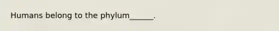 Humans belong to the phylum______.