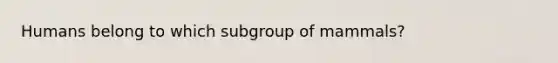 Humans belong to which subgroup of mammals?