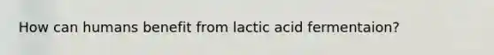 How can humans benefit from lactic acid fermentaion?