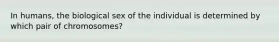 In humans, the biological sex of the individual is determined by which pair of chromosomes?