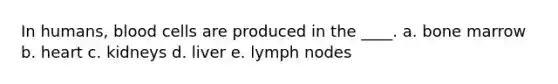 In humans, blood cells are produced in the ____. a. bone marrow b. heart c. kidneys d. liver e. lymph nodes