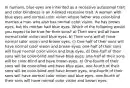 In humans, blue eyes are inherited as a recessive autosomal trait and color blindness is an X-linked recessive trait. A woman with blue eyes and normal color vision whose father was color-blind marries a man who also has normal color vision. He has brown eyes, but his mother had blue eyes. Which of the following would you expect to be true for their sons? a) Their sons will all have normal color vision and blue eyes. b) Their sons will all have normal color vision and brown eyes. c) One-half of their sons will have normal color vision and brown eyes; one-half of their sons will have normal color vision and blue eyes. d) One-half of their sons will be color-blind and have blue eyes; one-half of their sons will be color-blind and have brown eyes. e) One-fourth of their sons will be color-blind and have blue eyes, one-fourth of their sons will be color-blind and have brown eyes, one-fourth of their sons will have normal color vision and blue eyes, one-fourth of their sons will have normal color vision and brown eyes.