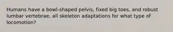 Humans have a bowl-shaped pelvis, fixed big toes, and robust lumbar vertebrae, all skeleton adaptations for what type of locomotion?