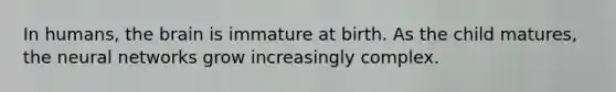 In humans, the brain is immature at birth. As the child matures, the neural networks grow increasingly complex.