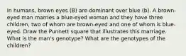 In humans, brown eyes (B) are dominant over blue (b). A brown-eyed man marries a blue-eyed woman and they have three children, two of whom are brown-eyed and one of whom is blue-eyed. Draw the Punnett square that illustrates this marriage. What is the man's genotype? What are the genotypes of the children?