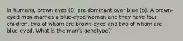 In humans, brown eyes (B) are dominant over blue (b). A brown-eyed man marries a blue-eyed woman and they have four children, two of whom are brown-eyed and two of whom are blue-eyed. What is the man's genotype?