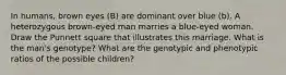 In humans, brown eyes (B) are dominant over blue (b). A heterozygous brown-eyed man marries a blue-eyed woman. Draw the Punnett square that illustrates this marriage. What is the man's genotype? What are the genotypic and phenotypic ratios of the possible children?