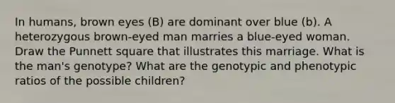 In humans, brown eyes (B) are dominant over blue (b). A heterozygous brown-eyed man marries a blue-eyed woman. Draw the Punnett square that illustrates this marriage. What is the man's genotype? What are the genotypic and phenotypic ratios of the possible children?