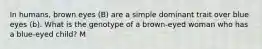 In humans, brown eyes (B) are a simple dominant trait over blue eyes (b). What is the genotype of a brown-eyed woman who has a blue-eyed child? M