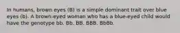 In humans, brown eyes (B) is a simple dominant trait over blue eyes (b). A brown-eyed woman who has a blue-eyed child would have the genotype bb. Bb. BB. BBB. BbBb.