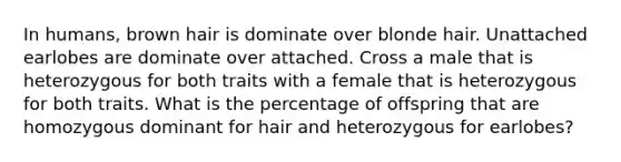 In humans, brown hair is dominate over blonde hair. Unattached earlobes are dominate over attached. Cross a male that is heterozygous for both traits with a female that is heterozygous for both traits. What is the percentage of offspring that are homozygous dominant for hair and heterozygous for earlobes?