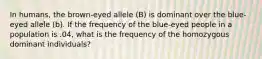 In humans, the brown-eyed allele (B) is dominant over the blue-eyed allele (b). If the frequency of the blue-eyed people in a population is .04, what is the frequency of the homozygous dominant individuals?