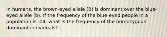 In humans, the brown-eyed allele (B) is dominant over the blue-eyed allele (b). If the frequency of the blue-eyed people in a population is .04, what is the frequency of the homozygous dominant individuals?