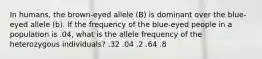 In humans, the brown-eyed allele (B) is dominant over the blue-eyed allele (b). If the frequency of the blue-eyed people in a population is .04, what is the allele frequency of the heterozygous individuals? .32 .04 .2 .64 .8