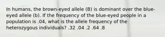 In humans, the brown-eyed allele (B) is dominant over the blue-eyed allele (b). If the frequency of the blue-eyed people in a population is .04, what is the allele frequency of the heterozygous individuals? .32 .04 .2 .64 .8