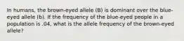 In humans, the brown-eyed allele (B) is dominant over the blue-eyed allele (b). If the frequency of the blue-eyed people in a population is .04, what is the allele frequency of the brown-eyed allele?