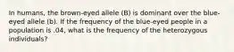 In humans, the brown-eyed allele (B) is dominant over the blue-eyed allele (b). If the frequency of the blue-eyed people in a population is .04, what is the frequency of the heterozygous individuals?