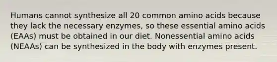 Humans cannot synthesize all 20 common amino acids because they lack the necessary enzymes, so these essential amino acids (EAAs) must be obtained in our diet. Nonessential amino acids (NEAAs) can be synthesized in the body with enzymes present.