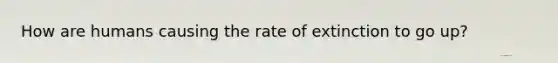 How are humans causing the rate of extinction to go up?