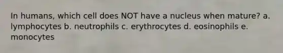 In humans, which cell does NOT have a nucleus when mature? a. lymphocytes b. neutrophils c. erythrocytes d. eosinophils e. monocytes