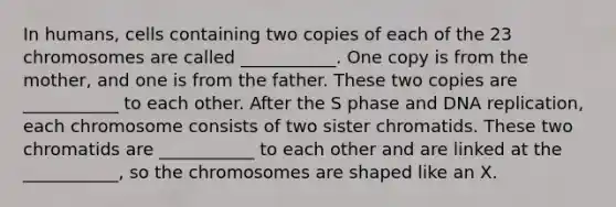 In humans, cells containing two copies of each of the 23 chromosomes are called ___________. One copy is from the mother, and one is from the father. These two copies are ___________ to each other. After the S phase and DNA replication, each chromosome consists of two sister chromatids. These two chromatids are ___________ to each other and are linked at the ___________, so the chromosomes are shaped like an X.