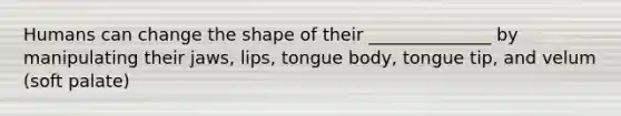 Humans can change the shape of their ______________ by manipulating their jaws, lips, tongue body, tongue tip, and velum (soft palate)