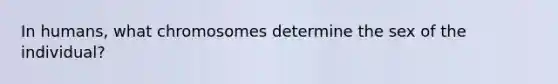 In humans, what chromosomes determine the sex of the individual?