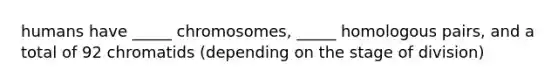 humans have _____ chromosomes, _____ homologous pairs, and a total of 92 chromatids (depending on the stage of division)