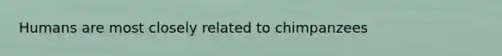 Humans are most closely related to chimpanzees