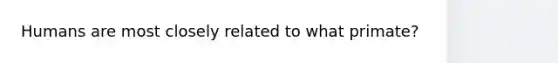 Humans are most closely related to what primate?