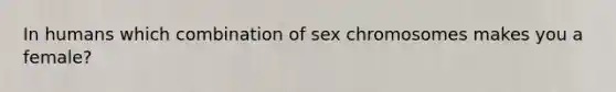 In humans which combination of sex chromosomes makes you a female?