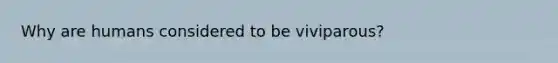 Why are humans considered to be viviparous?