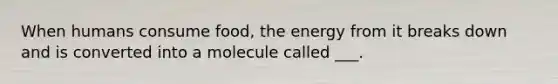 When humans consume food, the energy from it breaks down and is converted into a molecule called ___.