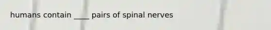 humans contain ____ pairs of spinal nerves