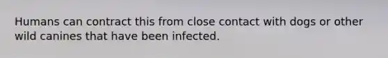 Humans can contract this from close contact with dogs or other wild canines that have been infected.