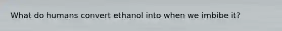 What do humans convert ethanol into when we imbibe it?