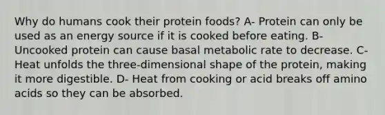 Why do humans cook their protein foods? A- Protein can only be used as an energy source if it is cooked before eating. B- Uncooked protein can cause basal metabolic rate to decrease. C- Heat unfolds the three-dimensional shape of the protein, making it more digestible. D- Heat from cooking or acid breaks off amino acids so they can be absorbed.