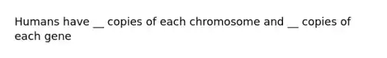 Humans have __ copies of each chromosome and __ copies of each gene