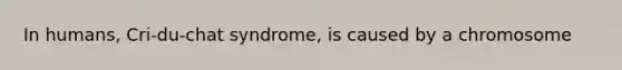 In humans, Cri-du-chat syndrome, is caused by a chromosome