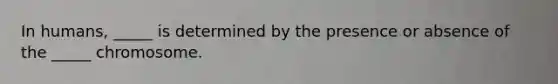 In humans, _____ is determined by the presence or absence of the _____ chromosome.