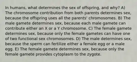 In humans, what determines the sex of offspring, and why? A) The chromosome contribution from both parents determines sex, because the offspring uses all the parents' chromosomes. B) The male gamete determines sex, because each male gamete can contribute either an X or a Y chromosome. C) The female gamete determines sex, because only the female gametes can have one of two functional sex chromosomes. D) The male determines sex, because the sperm can fertilize either a female egg or a male egg. E) The female gamete determines sex, because only the female gamete provides cytoplasm to the zygote.