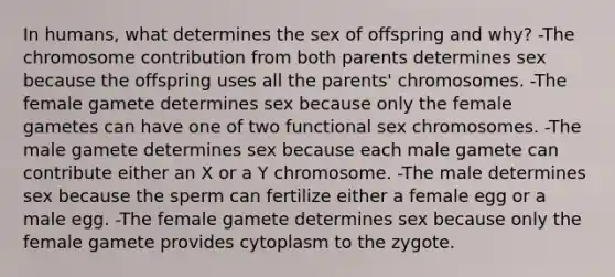 In humans, what determines the sex of offspring and why? -The chromosome contribution from both parents determines sex because the offspring uses all the parents' chromosomes. -The female gamete determines sex because only the female gametes can have one of two functional sex chromosomes. -The male gamete determines sex because each male gamete can contribute either an X or a Y chromosome. -The male determines sex because the sperm can fertilize either a female egg or a male egg. -The female gamete determines sex because only the female gamete provides cytoplasm to the zygote.