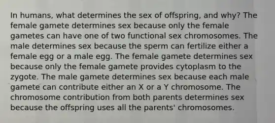 In humans, what determines the sex of offspring, and why? The female gamete determines sex because only the female gametes can have one of two functional sex chromosomes. The male determines sex because the sperm can fertilize either a female egg or a male egg. The female gamete determines sex because only the female gamete provides cytoplasm to the zygote. The male gamete determines sex because each male gamete can contribute either an X or a Y chromosome. The chromosome contribution from both parents determines sex because the offspring uses all the parents' chromosomes.