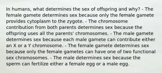 In humans, what determines the sex of offspring and why? - The female gamete determines sex because only the female gamete provides cytoplasm to the zygote. - The chromosome contribution from both parents determines sex because the offspring uses all the parents' chromosomes. - The male gamete determines sex because each male gamete can contribute either an X or a Y chromosome. - The female gamete determines sex because only the female gametes can have one of two functional sex chromosomes. - The male determines sex because the sperm can fertilize either a female egg or a male egg.