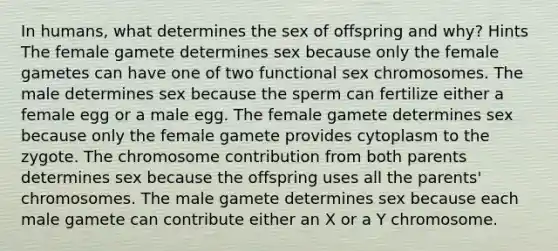 In humans, what determines the sex of offspring and why? Hints The female gamete determines sex because only the female gametes can have one of two functional sex chromosomes. The male determines sex because the sperm can fertilize either a female egg or a male egg. The female gamete determines sex because only the female gamete provides cytoplasm to the zygote. The chromosome contribution from both parents determines sex because the offspring uses all the parents' chromosomes. The male gamete determines sex because each male gamete can contribute either an X or a Y chromosome.