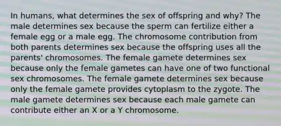 In humans, what determines the sex of offspring and why? The male determines sex because the sperm can fertilize either a female egg or a male egg. The chromosome contribution from both parents determines sex because the offspring uses all the parents' chromosomes. The female gamete determines sex because only the female gametes can have one of two functional sex chromosomes. The female gamete determines sex because only the female gamete provides cytoplasm to the zygote. The male gamete determines sex because each male gamete can contribute either an X or a Y chromosome.