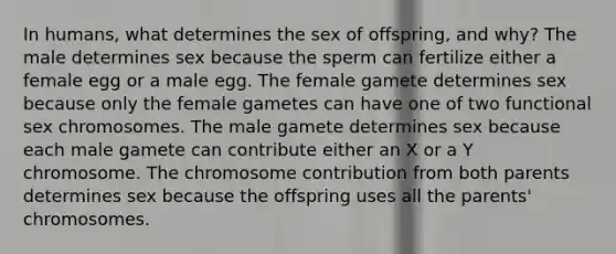 In humans, what determines the sex of offspring, and why? The male determines sex because the sperm can fertilize either a female egg or a male egg. The female gamete determines sex because only the female gametes can have one of two functional sex chromosomes. The male gamete determines sex because each male gamete can contribute either an X or a Y chromosome. The chromosome contribution from both parents determines sex because the offspring uses all the parents' chromosomes.