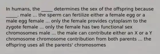 In humans, the _____ determines the sex of the offspring because _____. male ... the sperm can fertilize either a female egg or a male egg female ... only the female provides cytoplasm to the zygote female ... only the female has two functional sex chromosomes male ... the male can contribute either an X or a Y chromosome chromosome contribution from both parents ... the offspring uses all the parents' chromosomes