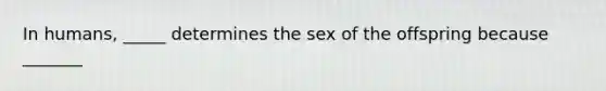 In humans, _____ determines the sex of the offspring because _______